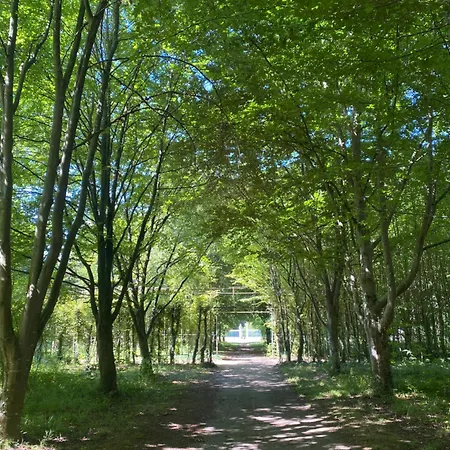 Proche Chateau De Compiegne