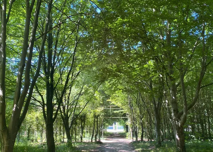 Proche Chateau De Compiegne